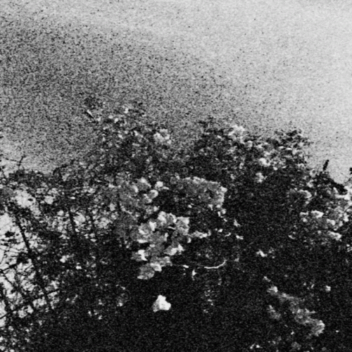 Trhä : Edënohhdlha Hálgra tu Majtranlh'ha - Ga Nëcëcta Mon Idlhi